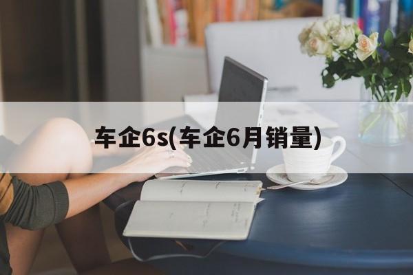 车企6s(车企6月销量)